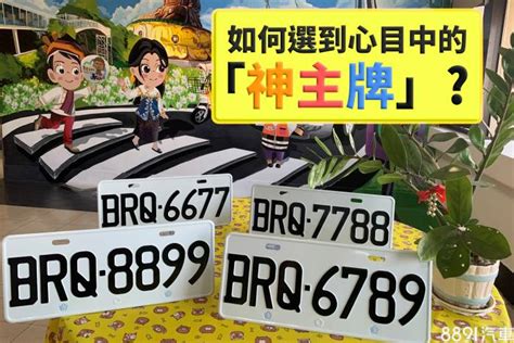 車牌s|車牌怎麼選比較好？2種方式4個技巧報你知